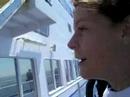 Seagulls one