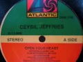 Ceybil Jeffries - Open Your Heart (Extended Club Mix)