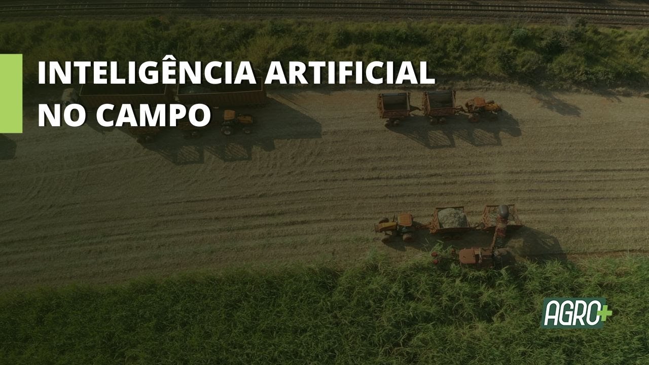 Empresa usa IA do Google para combater Plantas Daninhas.