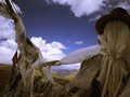 journey to holy mount kailash