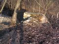 Fort 41a Mydlniki (2)