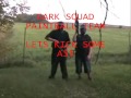 DSPT PAINLESS MAINFEAR