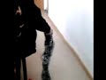 славмен и мишура гарыныч.mp4