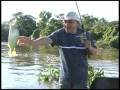 Pantanal, Mato Grosso, Brazil - Piraputanga's Fishing