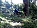 Rivertree 2008 open