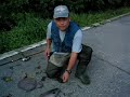 Rainbow Trout on Natural growing????????