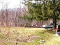 brush fire