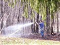 brush fire