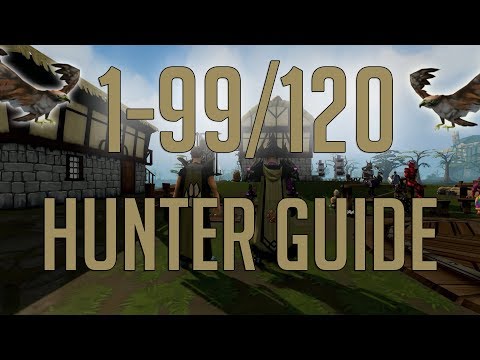 osrs pitfall trap xp per hour osrs pitfall trap xp per hour