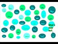 3GP Video Format