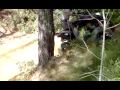 quad adly 320S 6