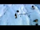 30 seconds to mars \\ a beautiful lie // film version