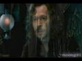 Here Without You - Sirius/Hermione