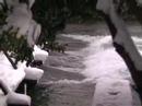 Struga sneg 2006