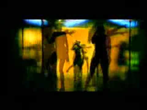 Werra son - Operation Dragon Werra son - Operation Dragon