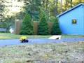 videos de Tamiya Lunch Box Freestyle Runs (Broke Wheel)