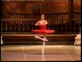 Zakarova Don Quixote Coda - Thumb #2