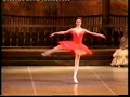 Zakarova Don Quixote Coda - Thumb #3