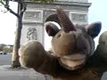 Arc de Triomphe and Avenue