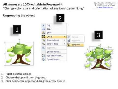 how to diagram a family tree