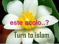 turntoislam - Alexandra accepta islamul