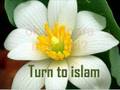 turntoislam - Alexandra accepta islamul