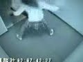 Purse Thief