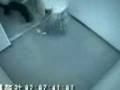 videos de Purse Thief