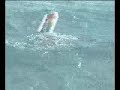 submarino