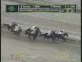 HIPISMO SUD AMERICANO ( POLLA DE POTRILLOS ARGENTINA)