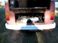 1979 VW bus