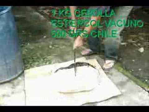 Elaboración de un biopesticida
