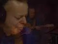 Tommy Emmanuel - (The Man With The) Green Thumb