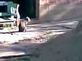 Kerge%20Macska%21