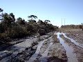 MUD PIGS 4X4 WOL in Medowie Mud  ohwotafeeln