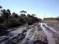 MUD PIGS 4X4 WOL in Medowie Mud  ohwotafeeln