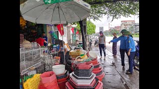 Ra quân đảm bảo ATGT, trật tự đô thị, vệ sinh môi trường chào mừng Đại hội Đảng bộ tỉnh Quảng Ninh lần thứ XV