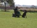 Jason Lake & Zasko's Schutzhund B