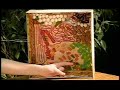 La cellule v�g�tale