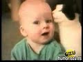 sustos y saltos de gatos