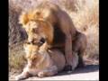 videos de ZONA GANJAH
