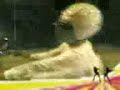 Click here to watch this video REMPIT