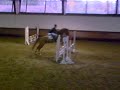 Instinct et Margaux