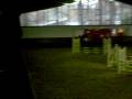 videos de Instinct et Margaux