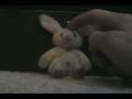 videos de My Best Friend