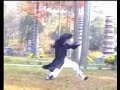 tiger style kung fu