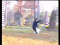 tiger style kung fu