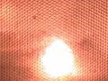 Grape Microwave Plasma