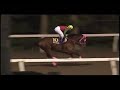 [大井競馬] 080709 ジャパンダートダービー 本場場入場
