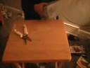 TDB: How to make a simple, and cheap Halfpipe for your Tech Decks TDB: How to make a simple, and cheap Halfpipe for your Tech Decks